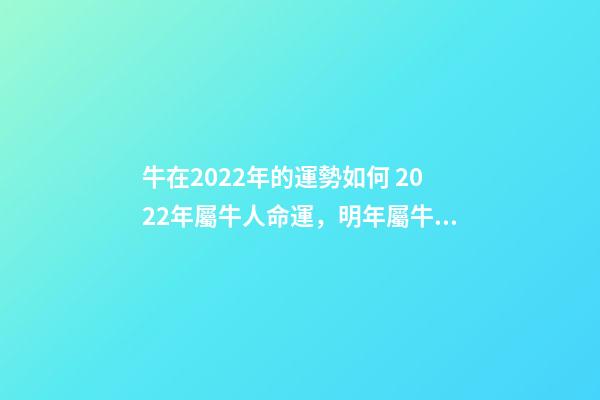 牛在2022年的運勢如何 2022年屬牛人命運，明年屬牛的人的運氣怎么樣-第1張-觀點-玄機派